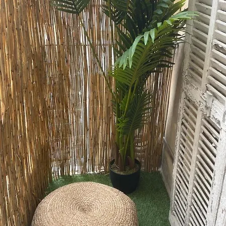 Apartment Coastal